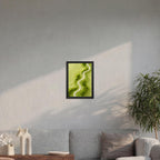 Silk Art - Glossy